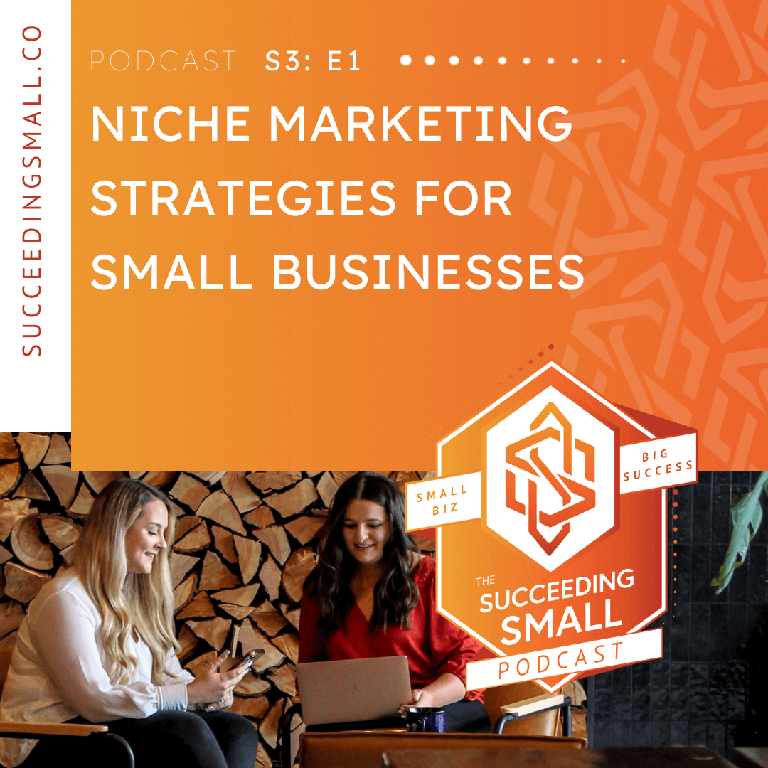 Podcast Graphic for Niche Marketing Strategies for Small Businesses
